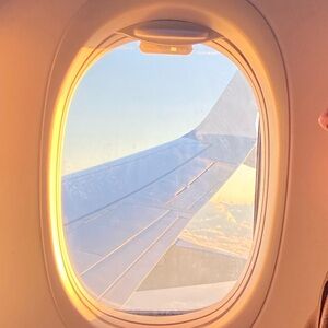 Meet your Posher, Phoebe